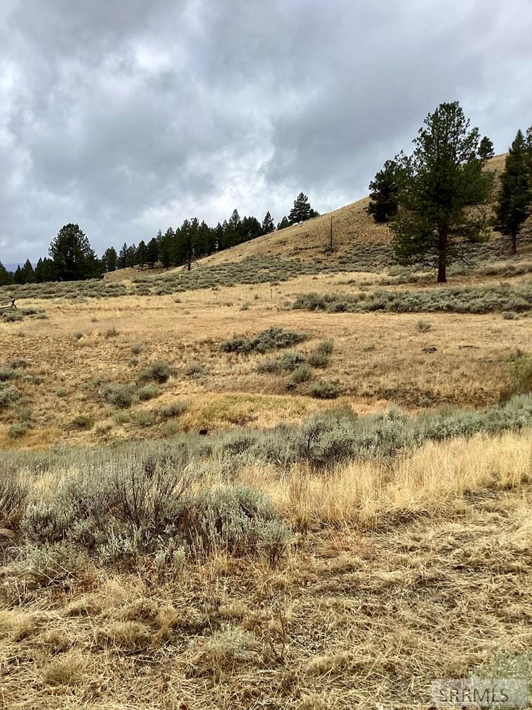 53 Panther Creek Estates Road Challis, ID 83226 - Photo 20 of 23