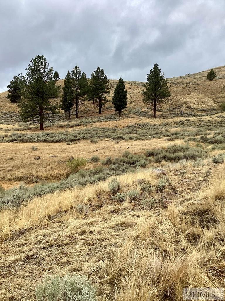 53 Panther Creek Estates Road Challis, ID 83226 - Photo 22 of 23