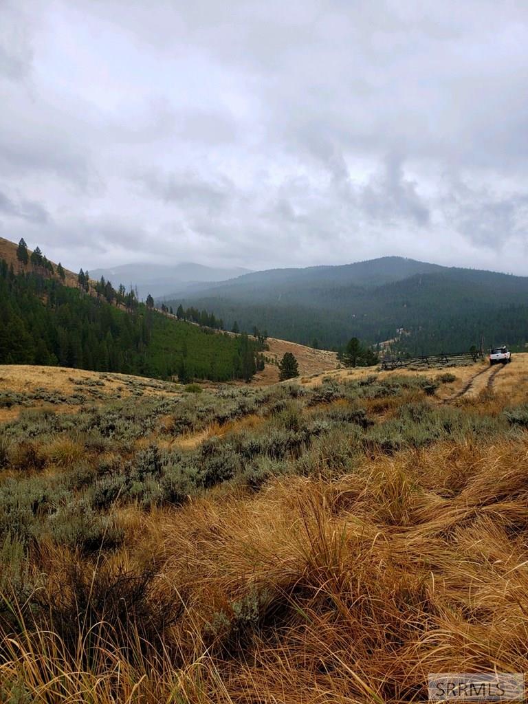 53 Panther Creek Estates Road Challis, ID 83226 - Photo 5 of 23