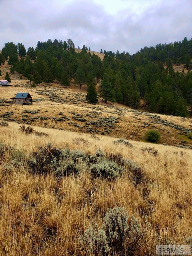 53 Panther Creek Estates Road Challis, ID 83226 - Photo 7 of 23