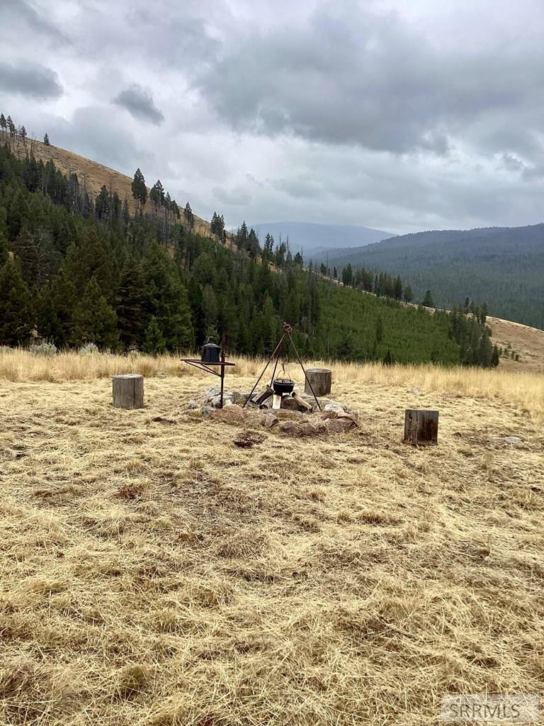 53 Panther Creek Estates Road Challis, ID 83226 - Photo 8 of 23