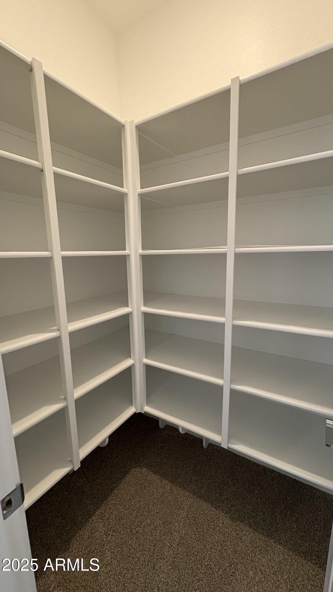 3240 West Peak View Road Phoenix, AZ 85083 - Photo 26 of 37 a view of walk in closet with empty racks
