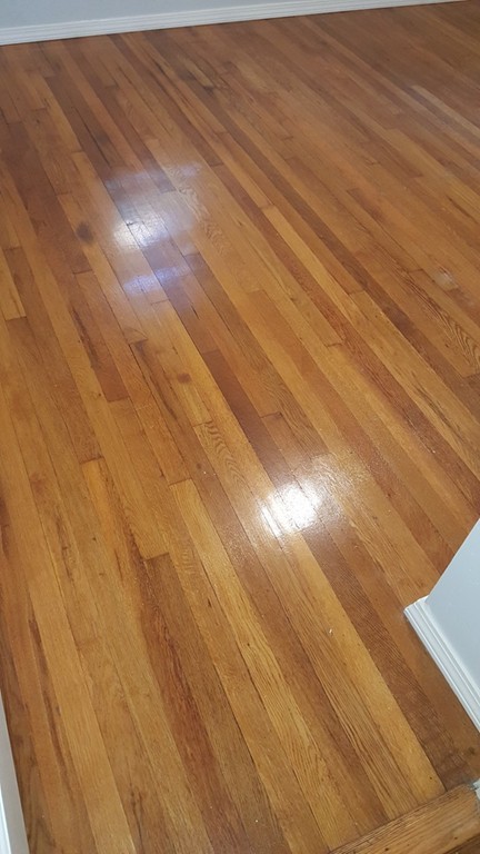 973 Bay Road Sharon, MA 02067 - Photo 15 of 29