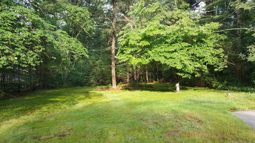 973 Bay Road Sharon, MA 02067 - Photo 8 of 29