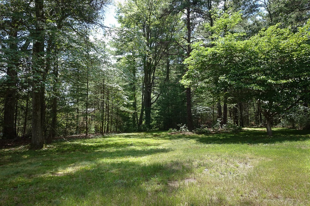 973 Bay Road Sharon, MA 02067 - Photo 9 of 29