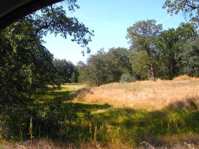 3050-3110 Rancho Road Redding, CA 96002 - Photo 4 of 6 a view of yard covered with green space