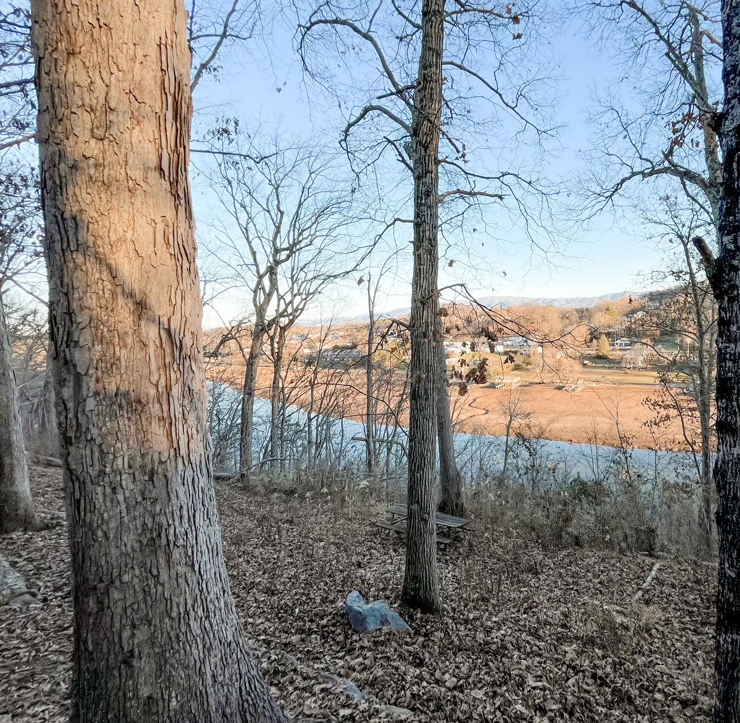 348 River Road, Unit A1 Bluff City, TN 37618 - Photo 11 of 14 IMG_1753