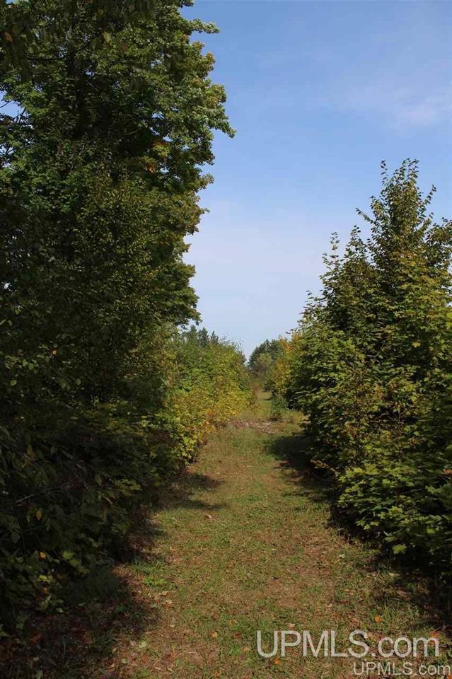 23827 Hulkonen Road Nisula, MI 49952 - Photo 24 of 44 Gallery Image 24