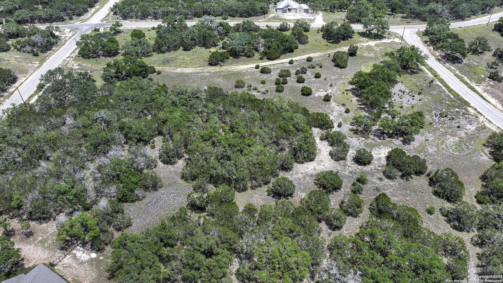 314 Serenity Pass Spring Branch, TX 78070 - Photo 13 of 26 a view of a forest with a tree