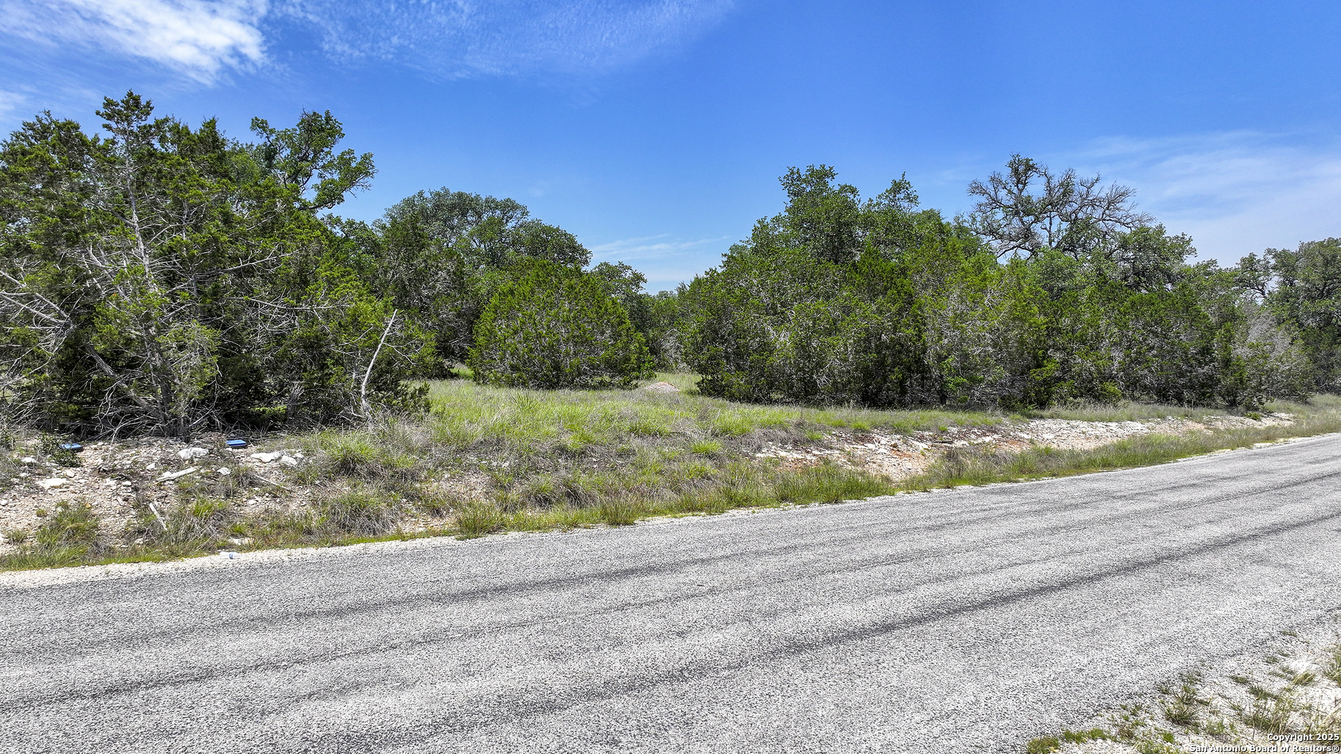 314 Serenity Pass Spring Branch, TX 78070 - Photo 18 of 26 a view of a yard