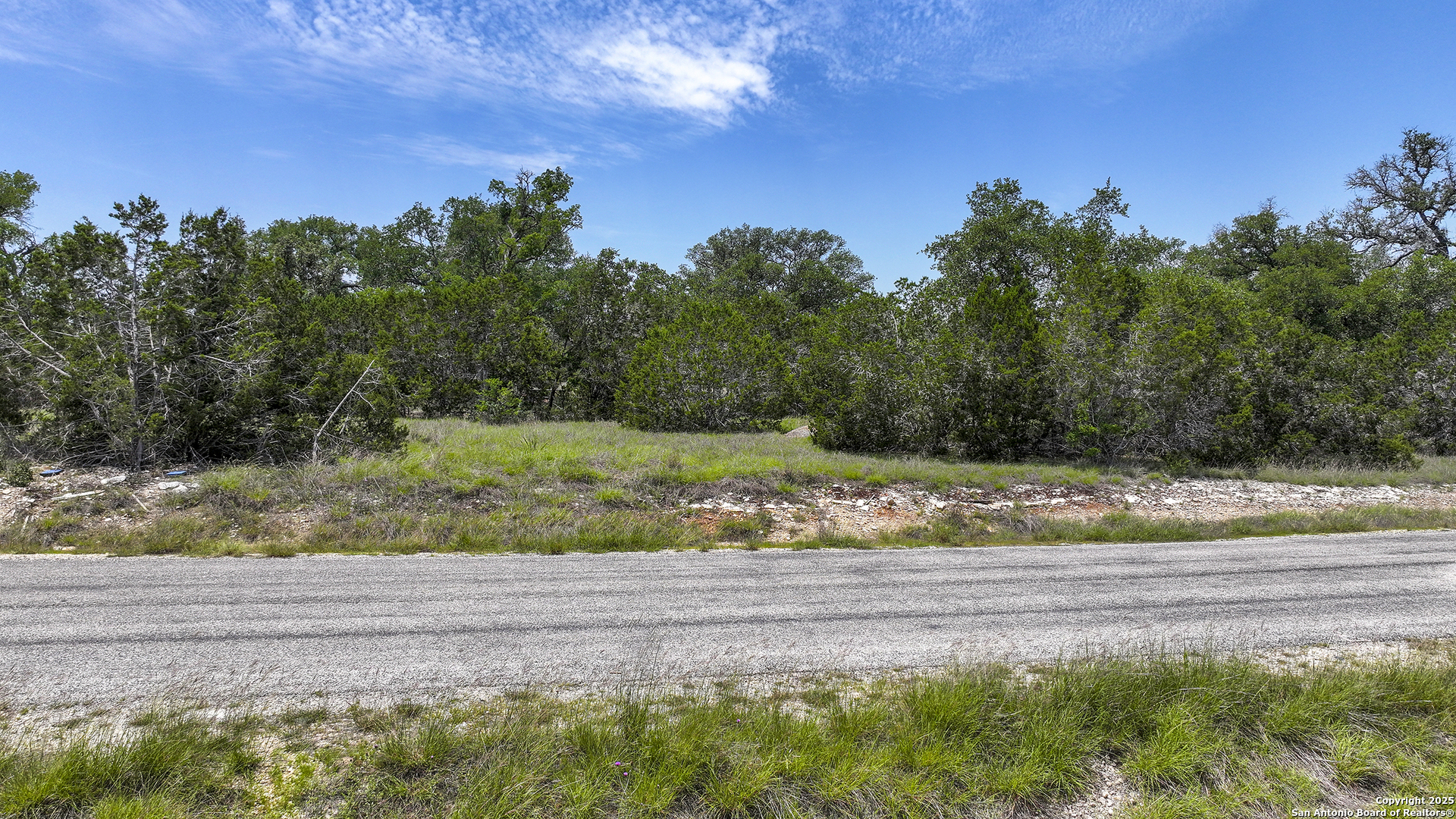 314 Serenity Pass Spring Branch, TX 78070 - Photo 19 of 26 a view of a yard with a tree