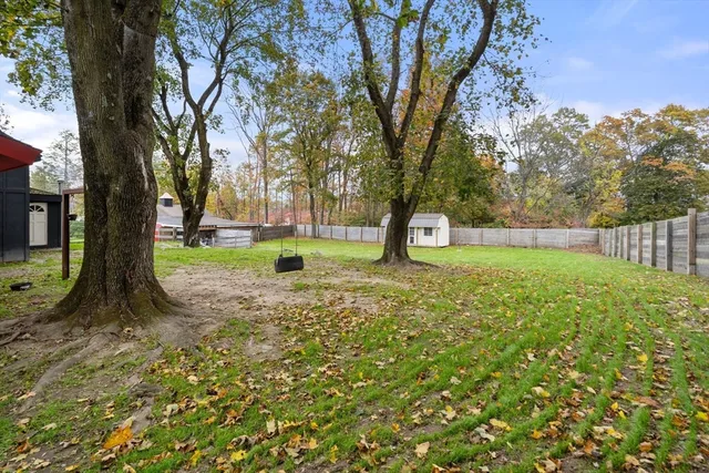 a view of yard with tree