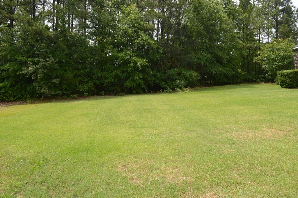 65 Grindiddys Farm Road Aiken, SC 29801 - Photo 2 of 27