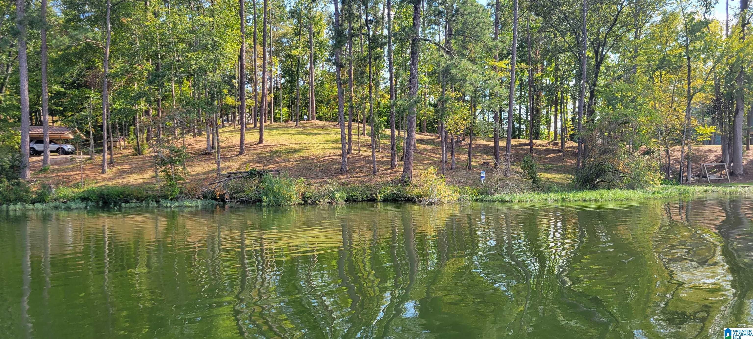 1830 Mimosa Point Road, Unit 5 Rockford, AL 35136 - Photo 1 of 25