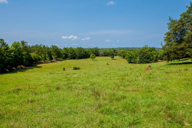 0 Vortech Road Modoc, SC 29838 - Photo 1 of 1 Main View