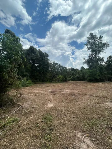 a view of yard with green space