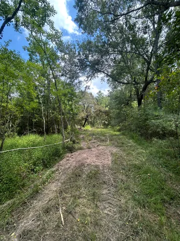 a view of a yard with a tree