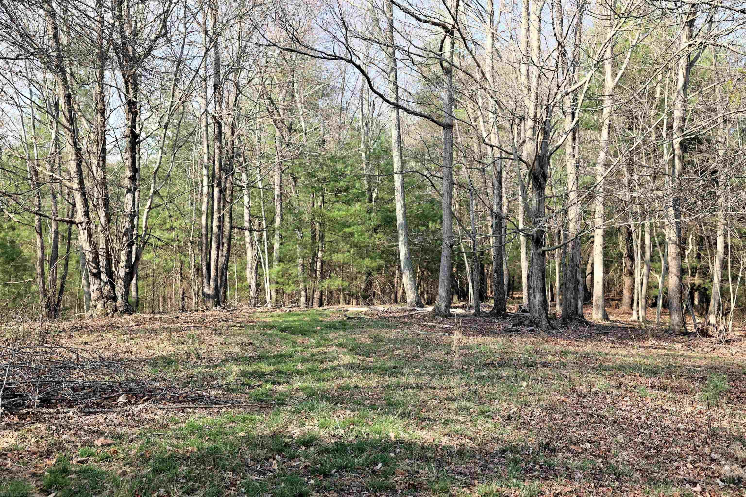 4237 Laburnum Road Pilot, VA 24138 - Photo 20 of 45 Gallery Image 20