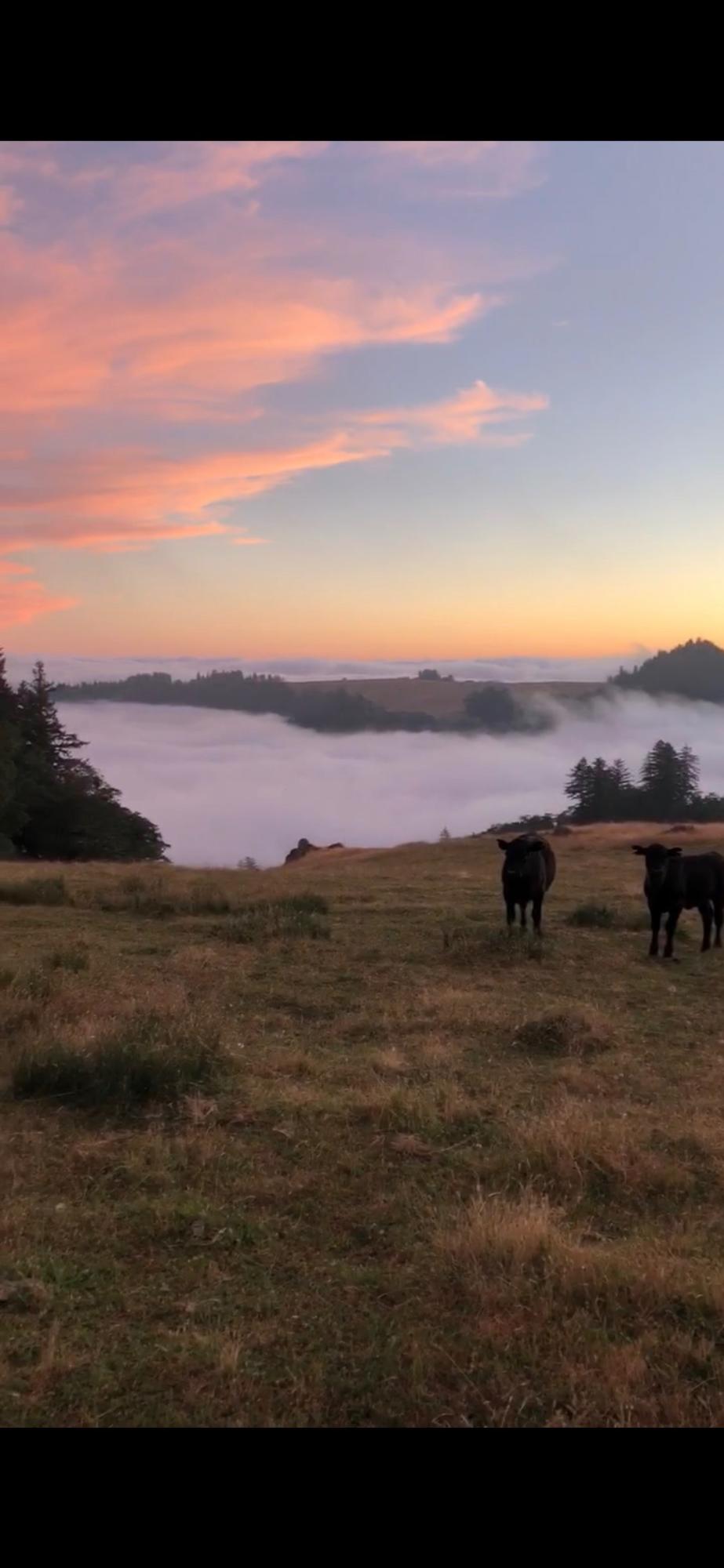 160-acres Butte Creek Road Kneeland, CA 95549 - Photo 56 of 56