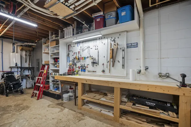 a view of a yard with plants and trees