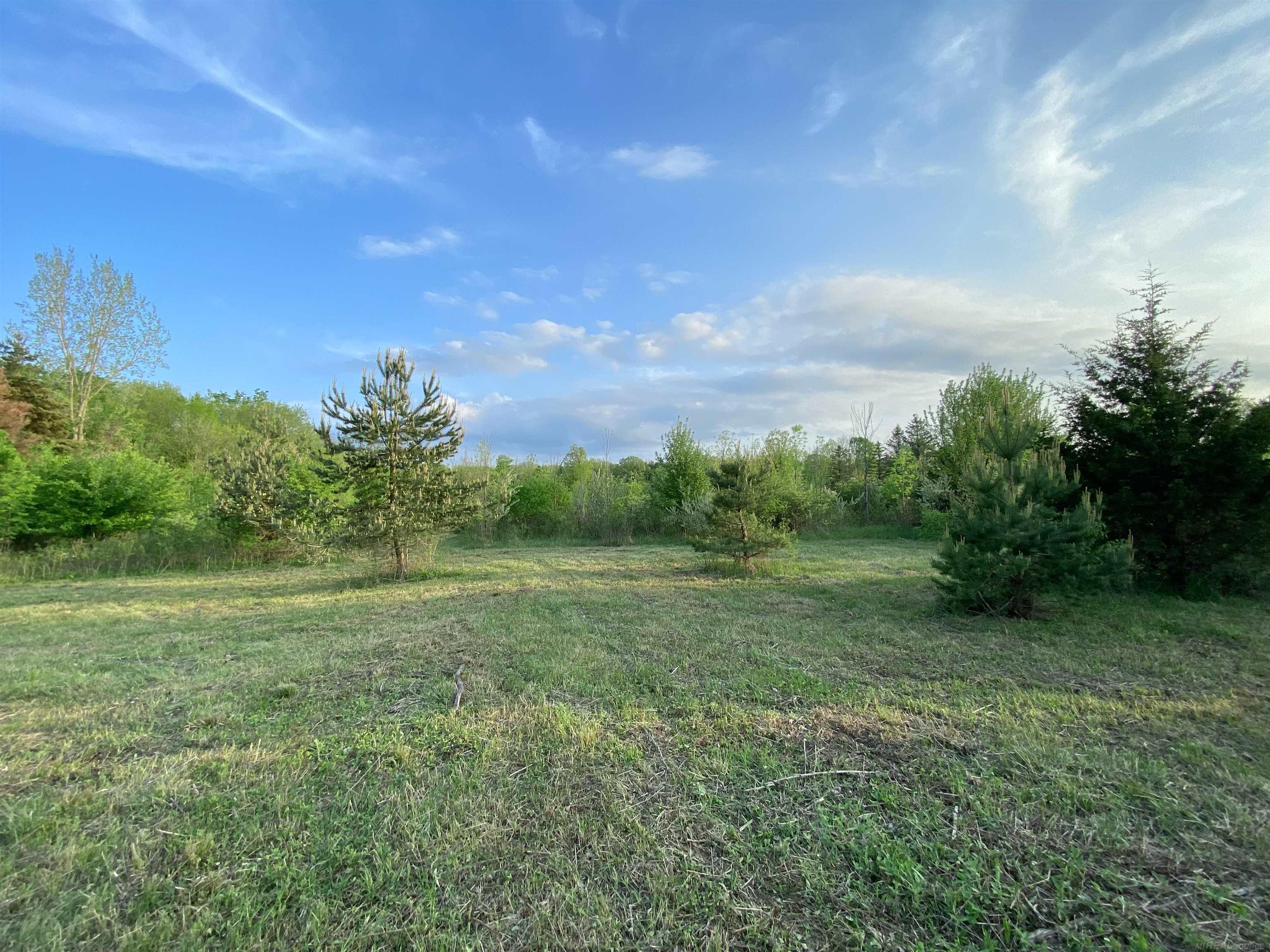 17344 33 Mile Road Armada, MI 48005 - Photo 3 of 14