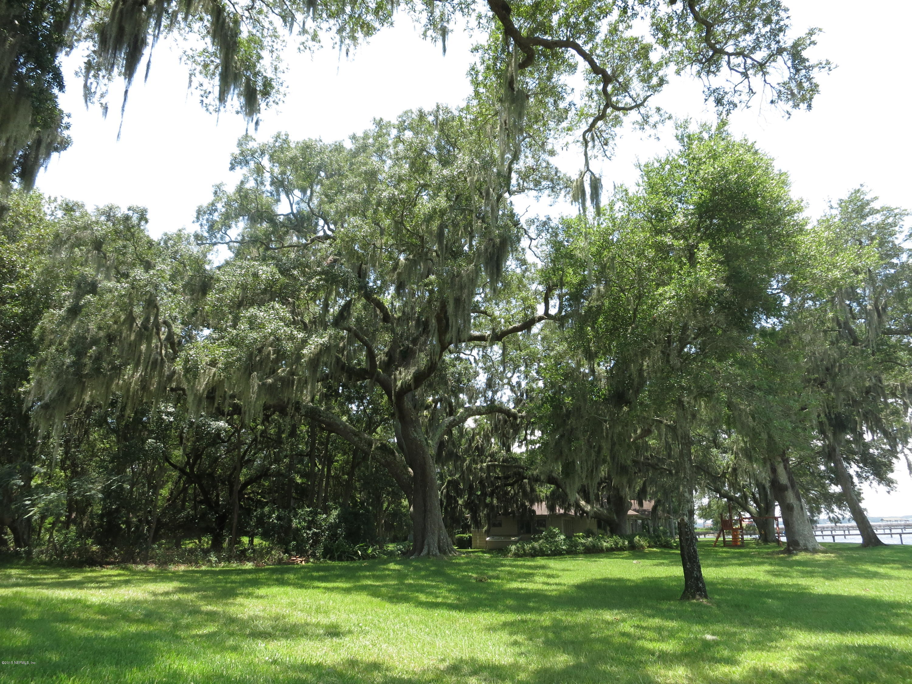 12818 Mandarin Road Jacksonville, FL 32223 - Photo 12 of 30 GRASSY AREA