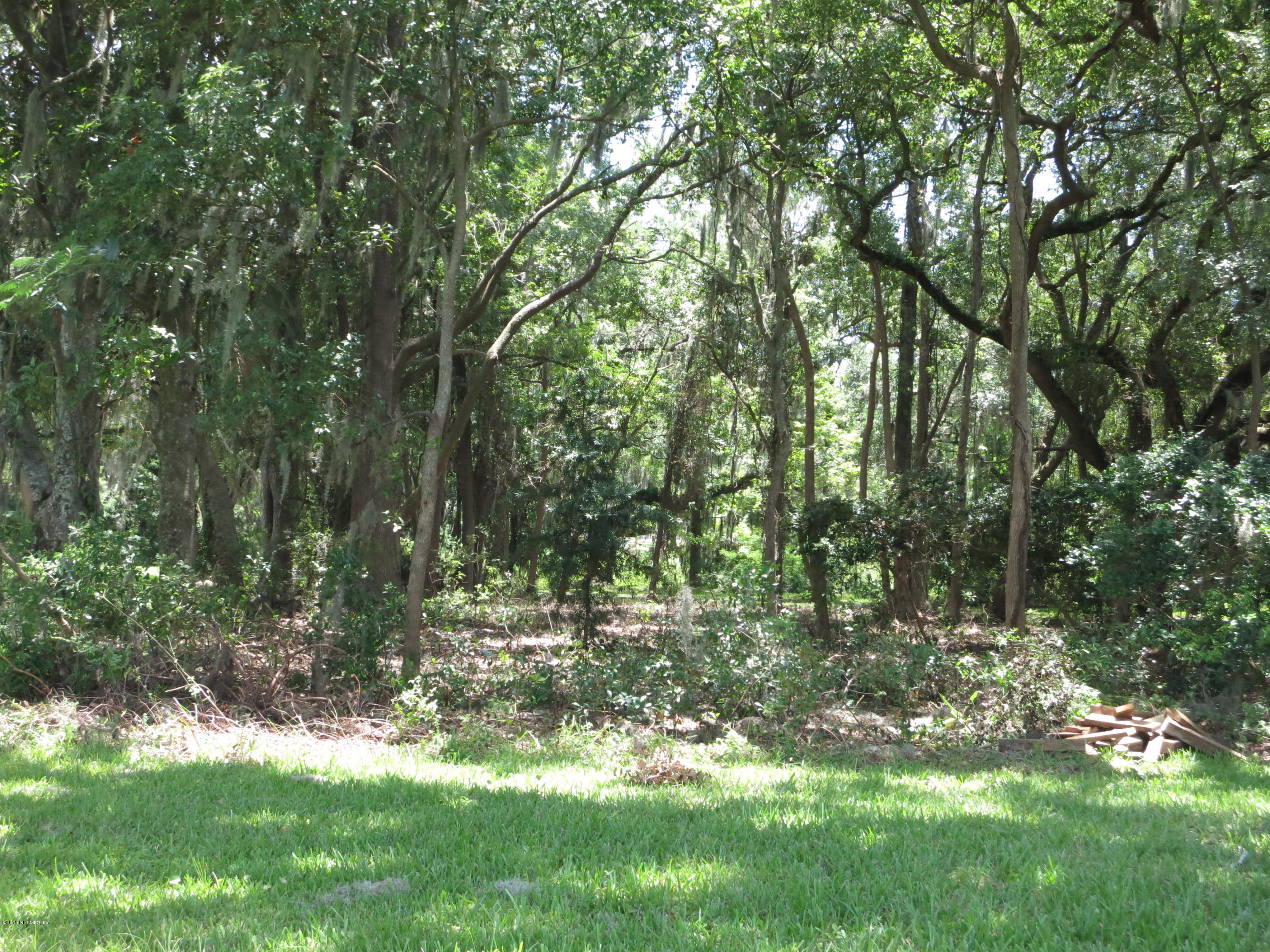 12818 Mandarin Road Jacksonville, FL 32223 - Photo 16 of 30 BRUSH & LOW TREES CLEARED