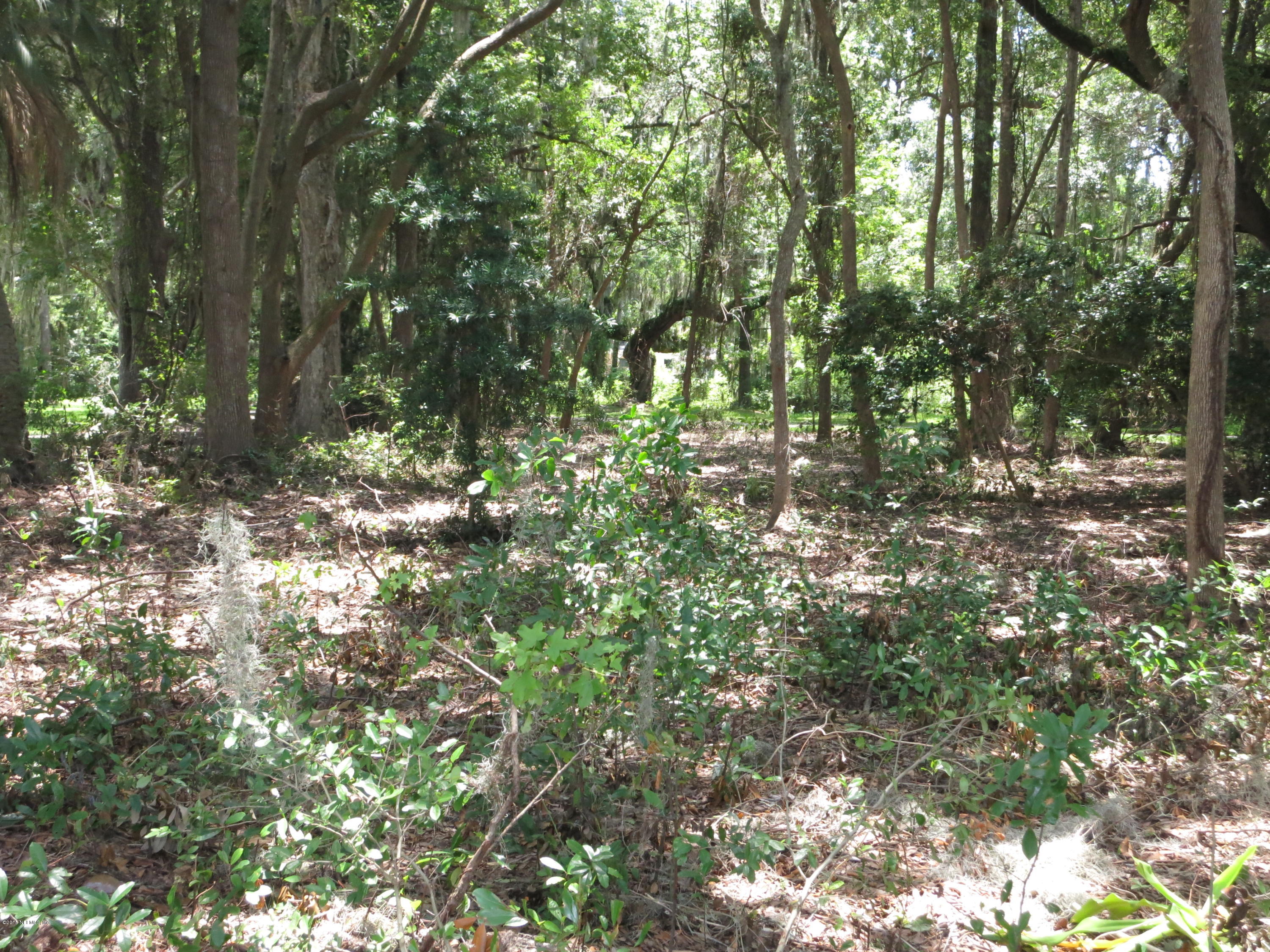 12818 Mandarin Road Jacksonville, FL 32223 - Photo 17 of 30 BRUSH CLEARED TO VIEW LOT