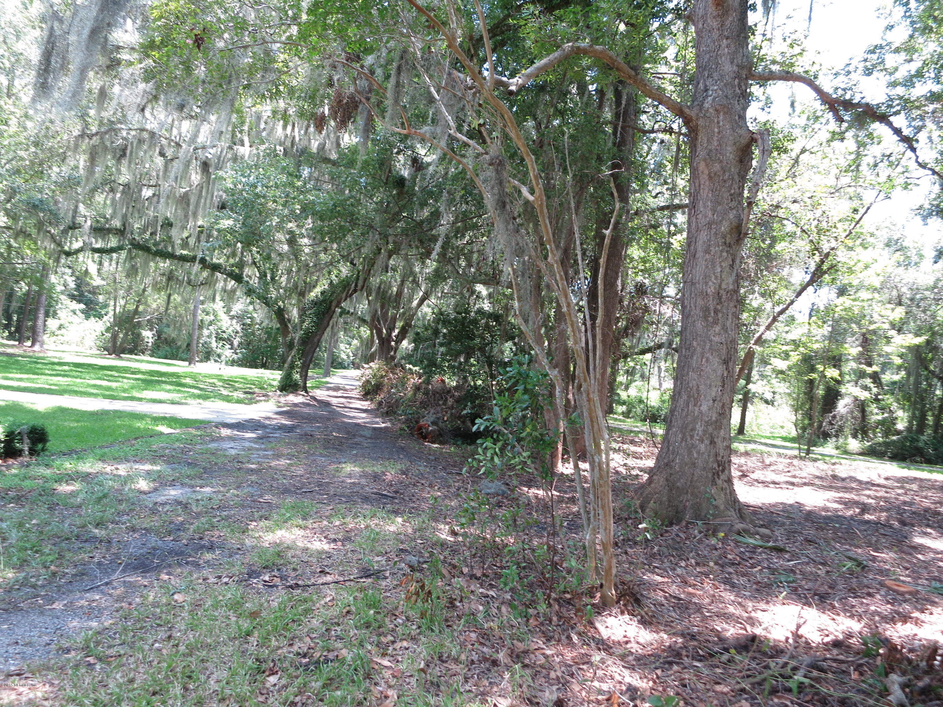 12818 Mandarin Road Jacksonville, FL 32223 - Photo 19 of 30 SIDE TO ROAD VIEW