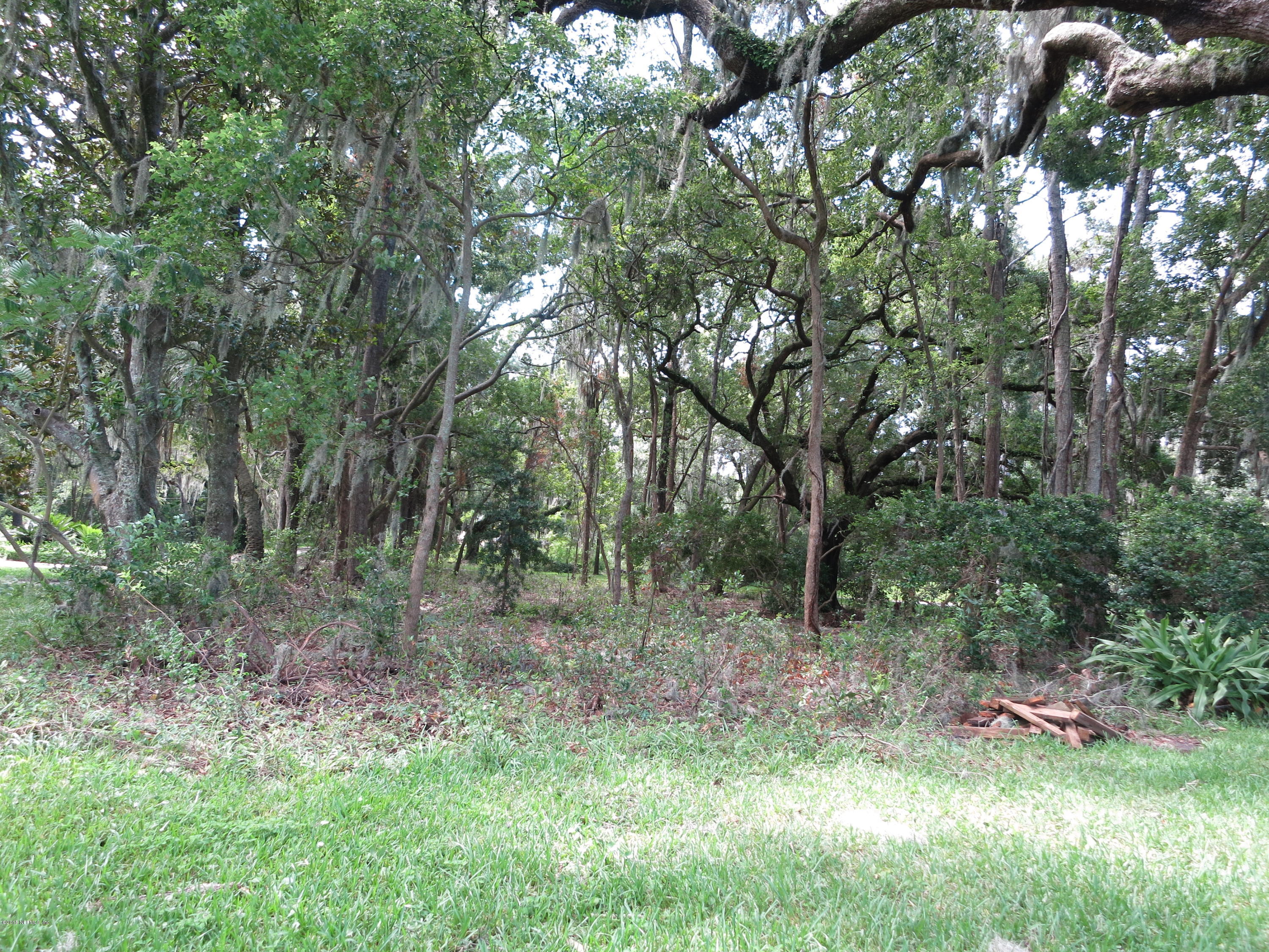 12818 Mandarin Road Jacksonville, FL 32223 - Photo 21 of 30 RIVER FACING LOT