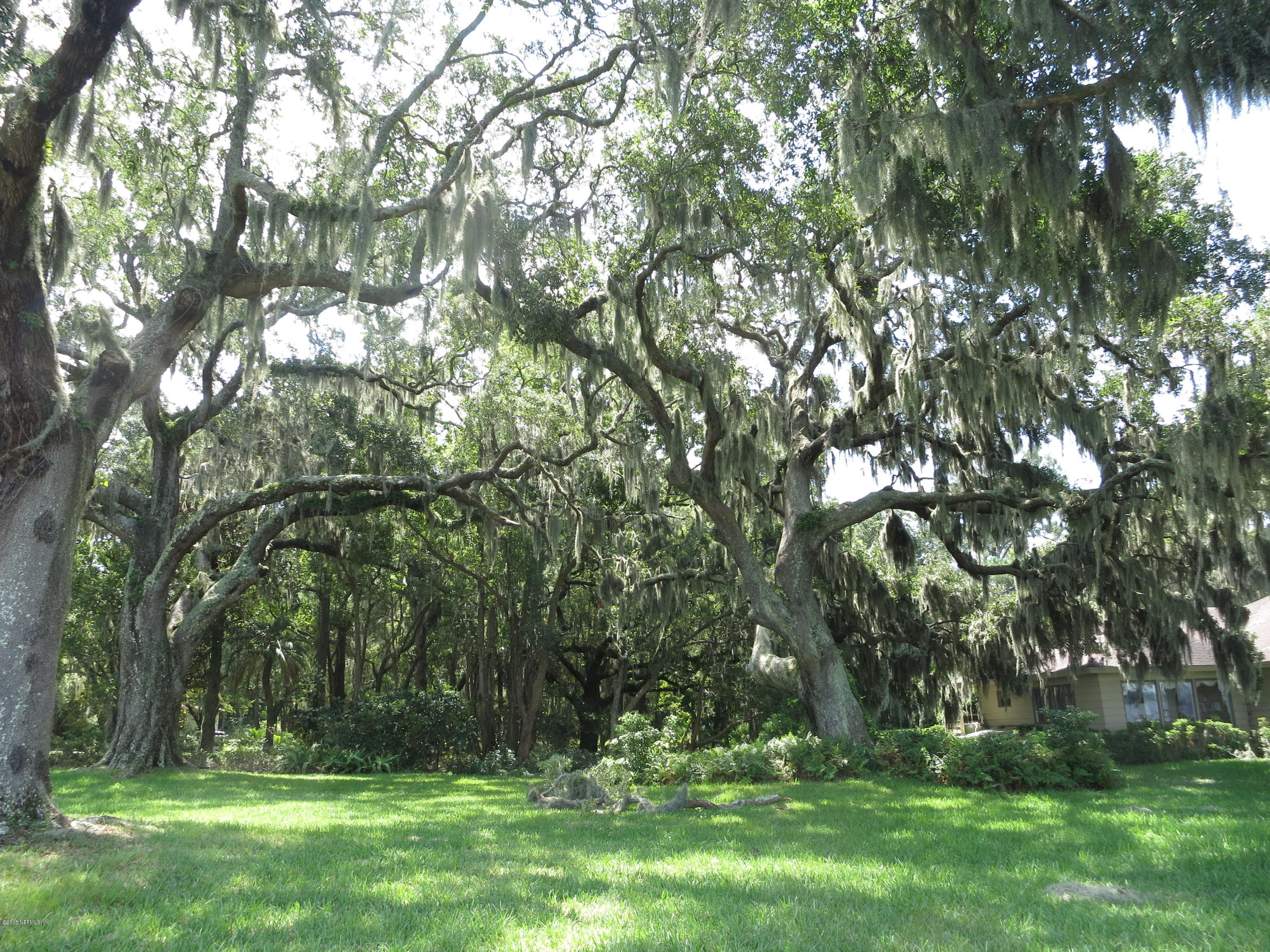 12818 Mandarin Road Jacksonville, FL 32223 - Photo 24 of 30 ARCHWAY OF TREES