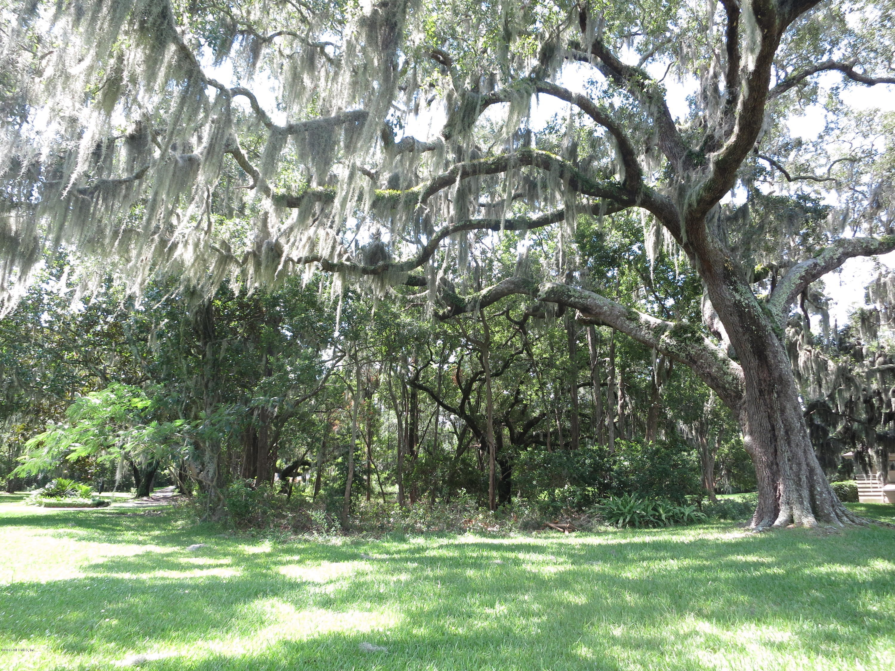 12818 Mandarin Road Jacksonville, FL 32223 - Photo 26 of 30 TREE CANOPY