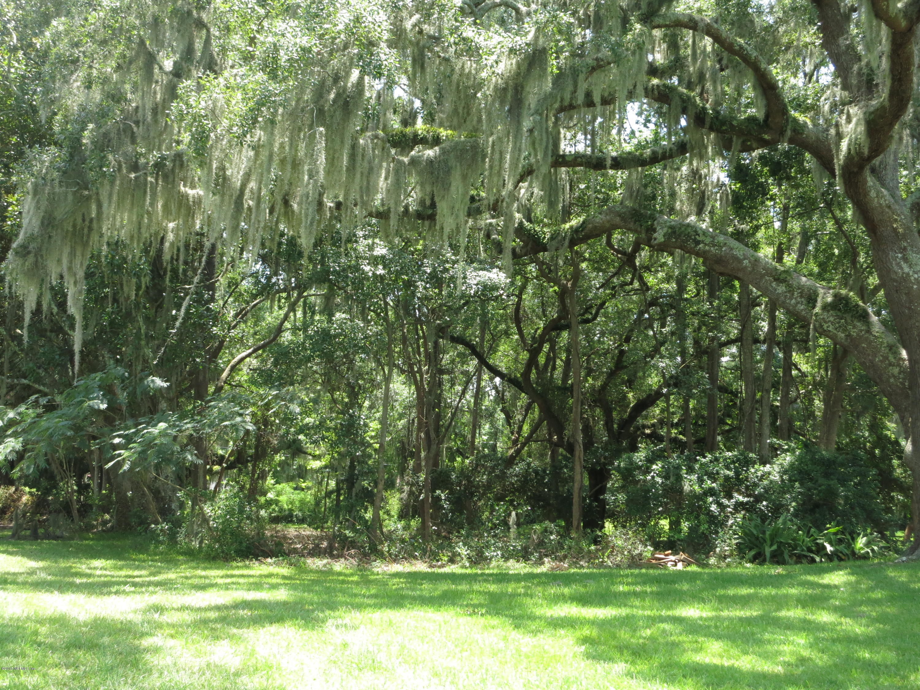 12818 Mandarin Road Jacksonville, FL 32223 - Photo 10 of 30 CANOPY OF TREES