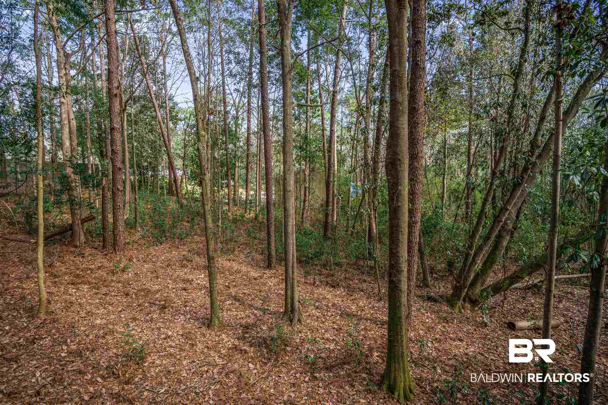 4371 Hoffman Road Mobile, AL 36619 - Photo 31 of 36
