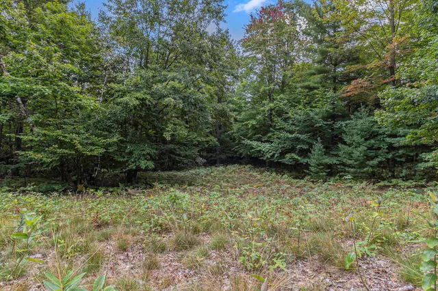 $44,900 | Lot 17 Pine Street, Mears, MI 49436