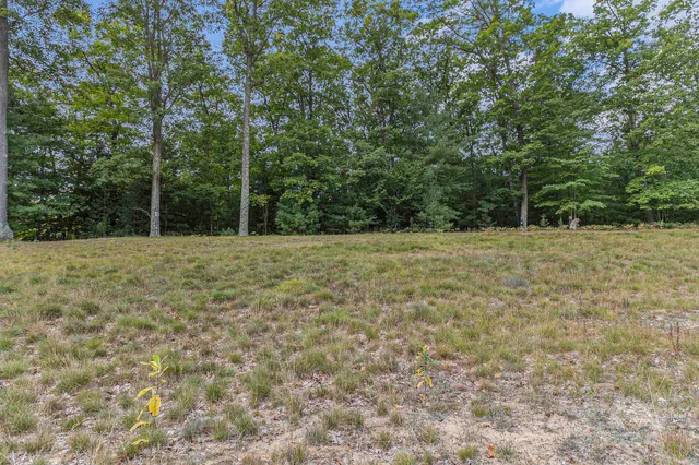 $44,900 | Lot 17 Pine Street, Mears, MI 49436