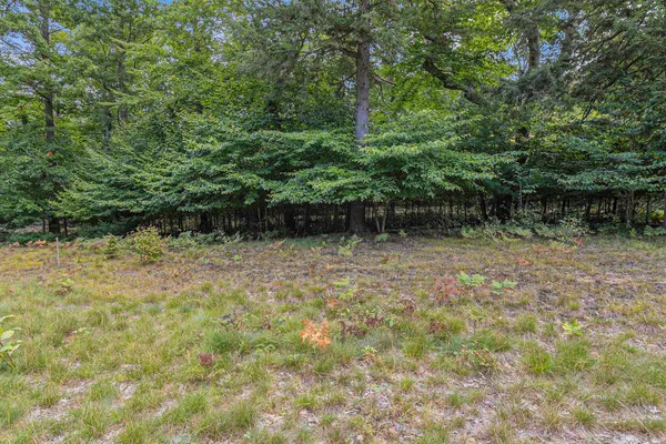 $44,900 | Lot 17 Pine Street, Mears, MI 49436