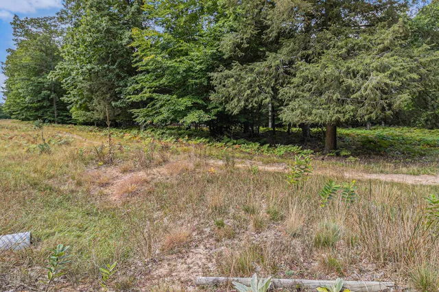 $44,900 | Lot 17 Pine Street, Mears, MI 49436