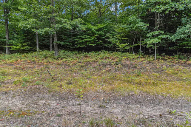 $44,900 | Lot 17 Pine Street, Mears, MI 49436