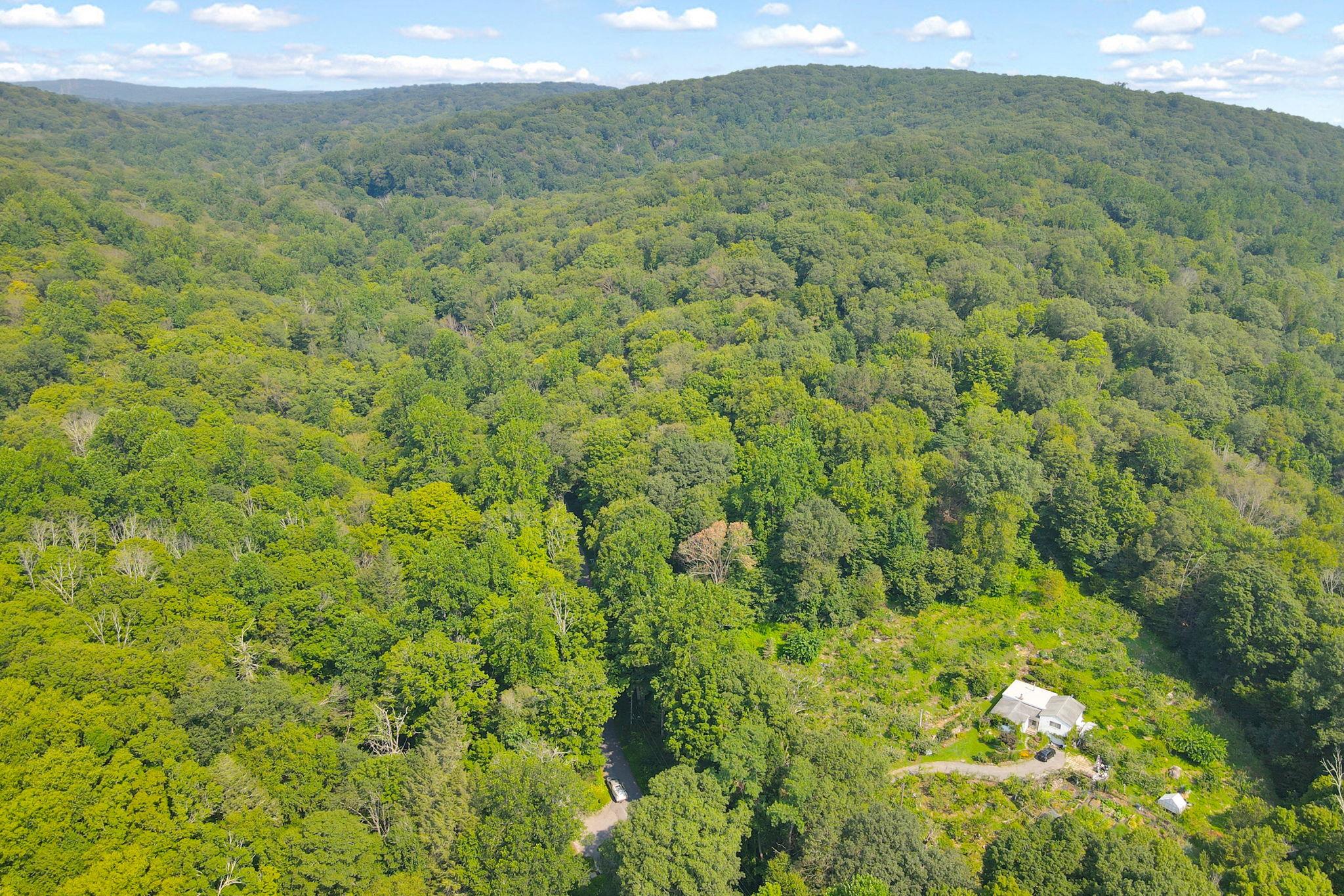 34 Gordon Road Carmel, NY 00000 - Photo 12 of 17 a view of a lush green forest with trees and some houses