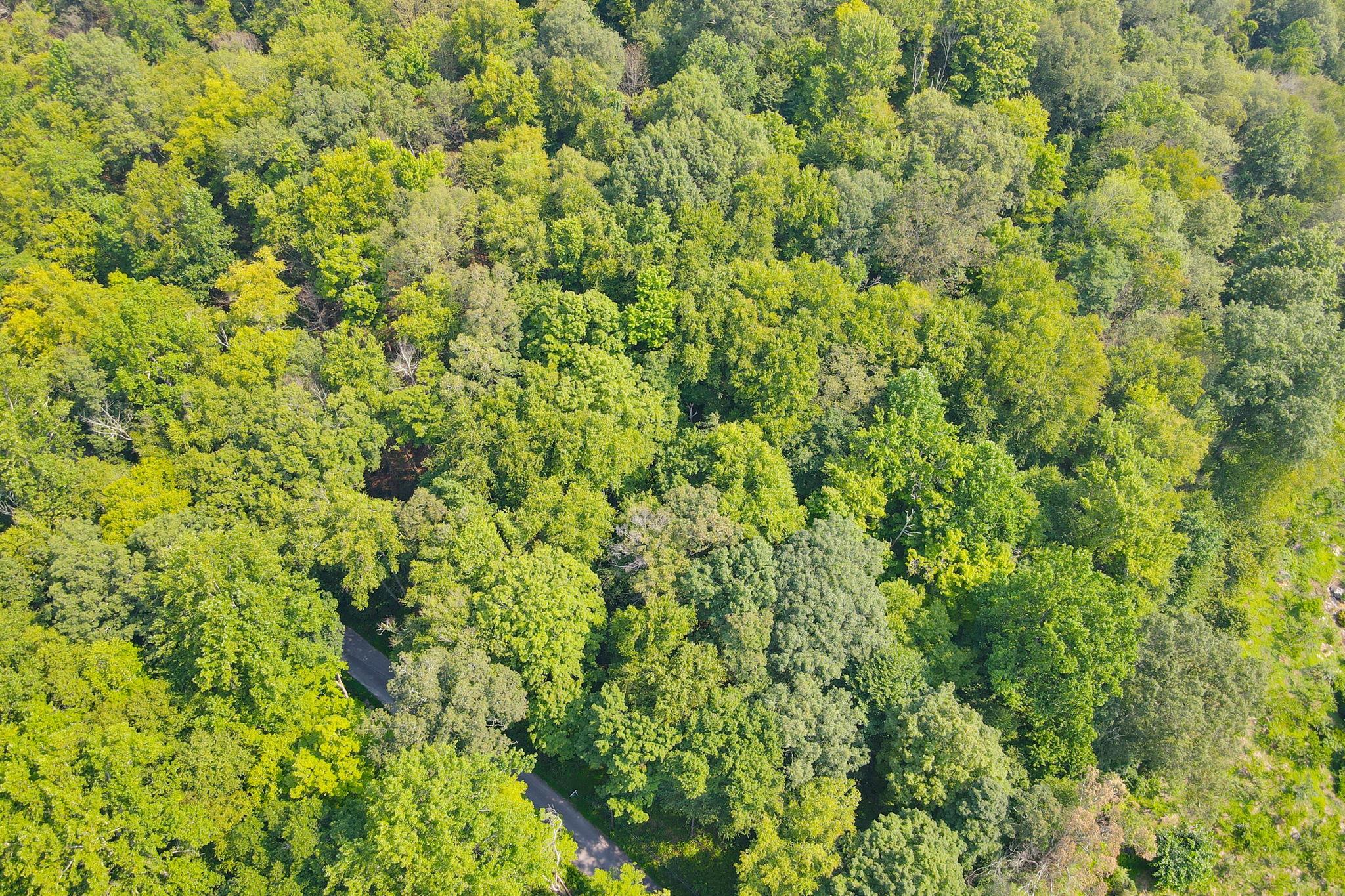 34 Gordon Road Carmel, NY 00000 - Photo 15 of 17 a view of a lush green field