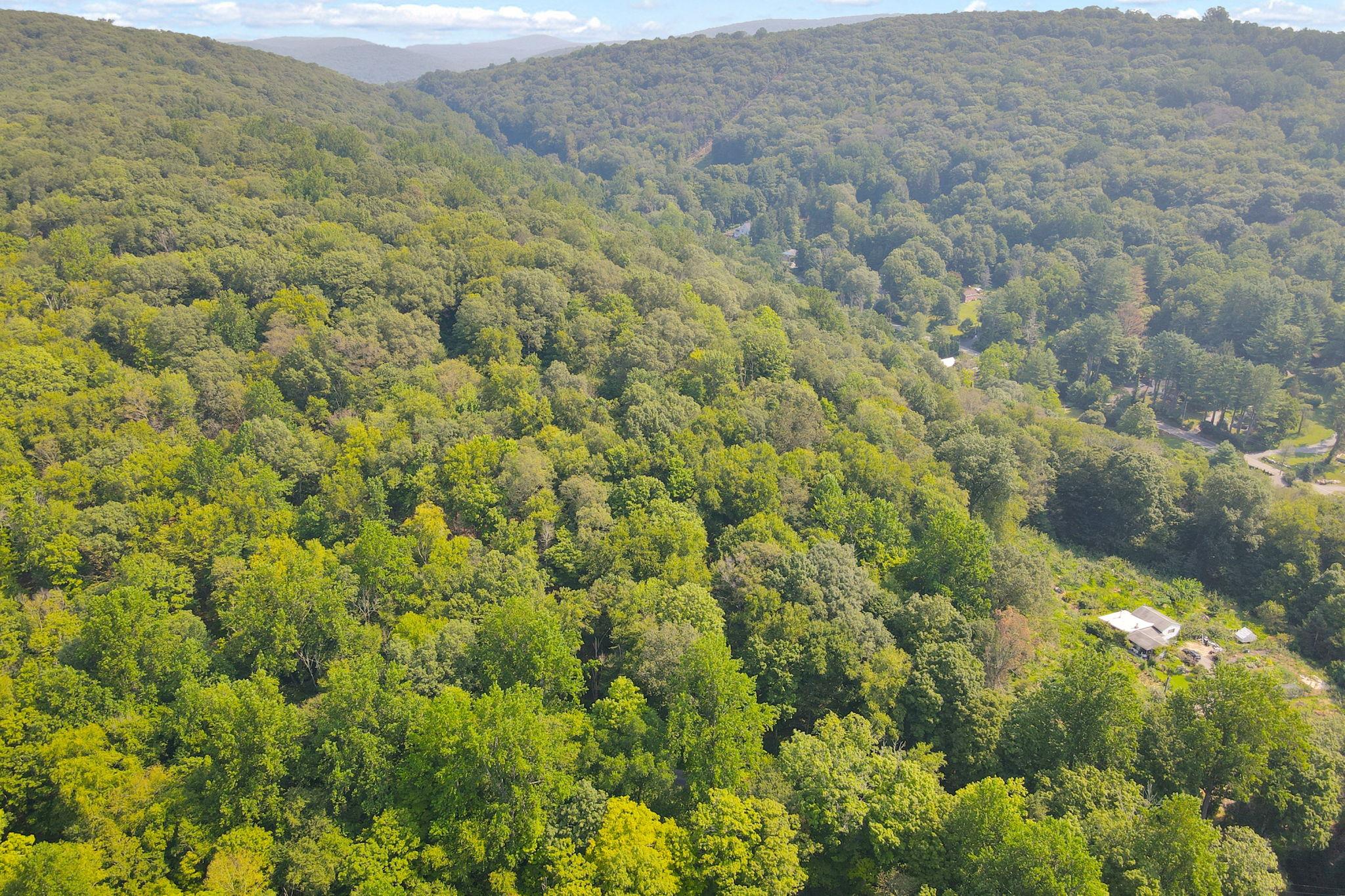 34 Gordon Road Carmel, NY 00000 - Photo 16 of 17 a view of a field