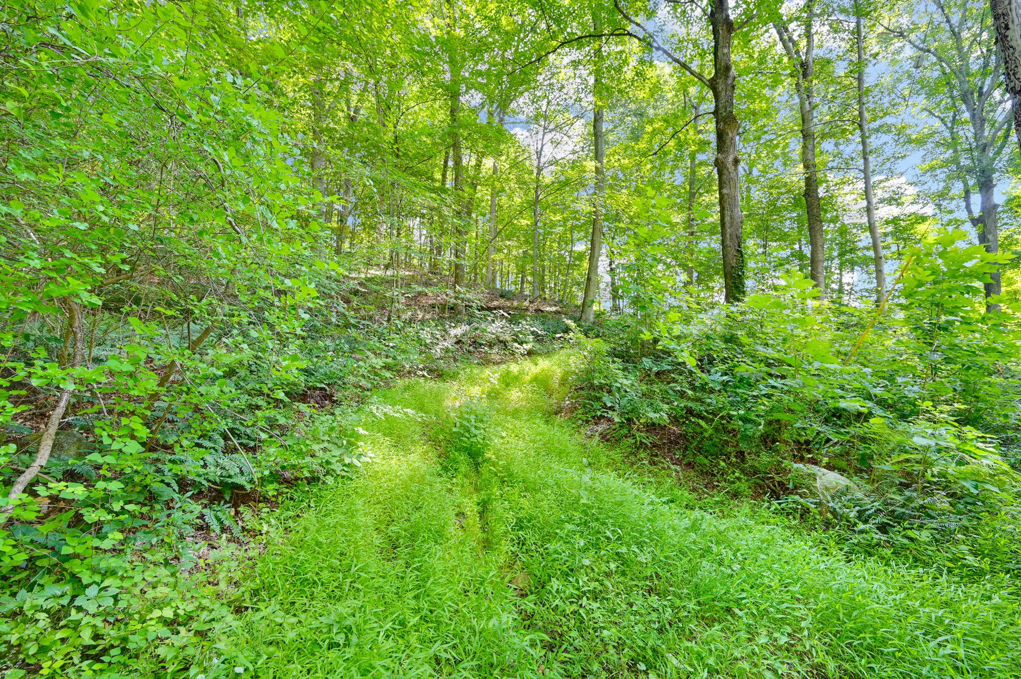 34 Gordon Road Carmel, NY 00000 - Photo 3 of 17 a view of a lush green forest