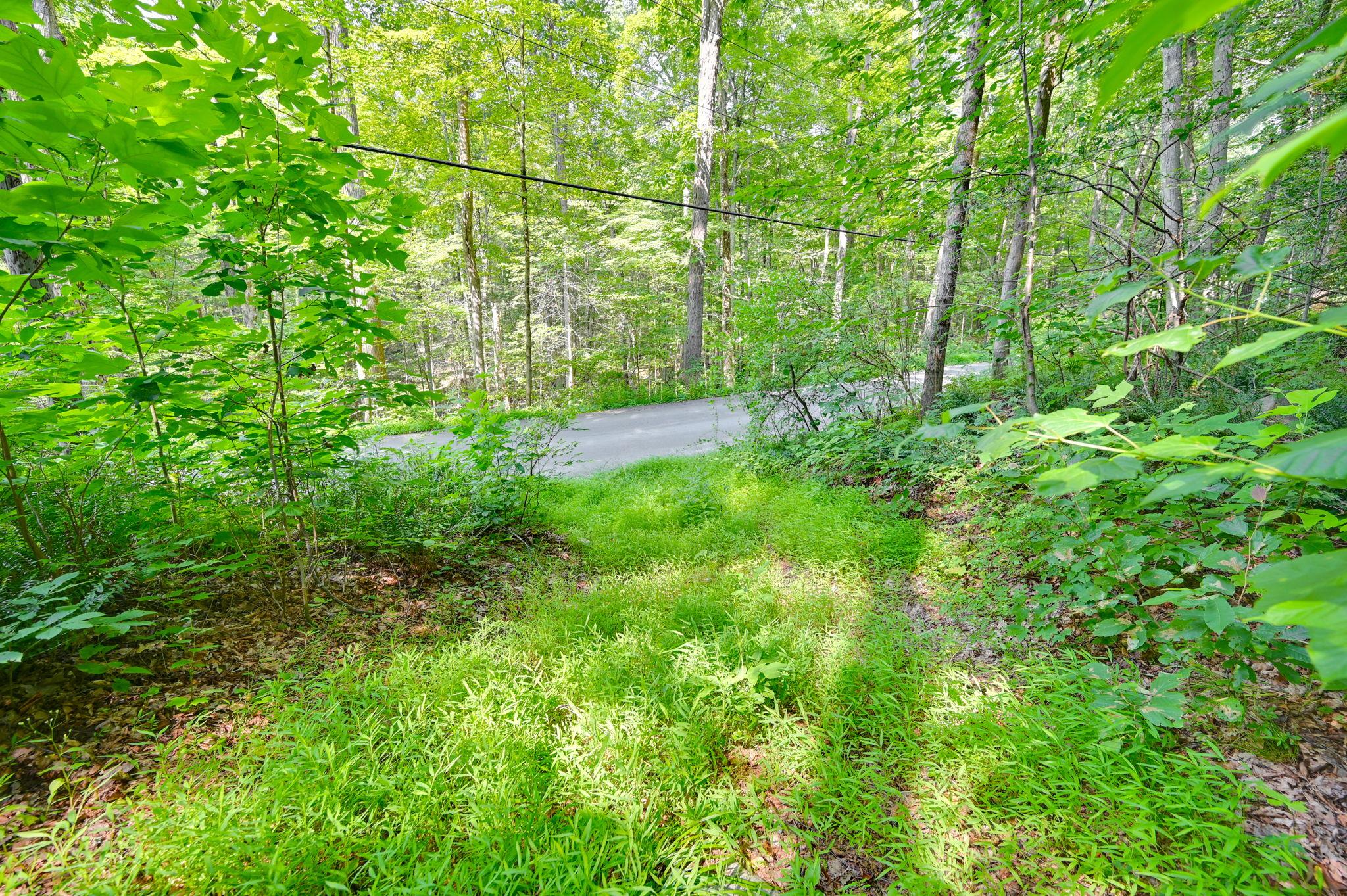 34 Gordon Road Carmel, NY 00000 - Photo 4 of 17 a view of a yard with a tree