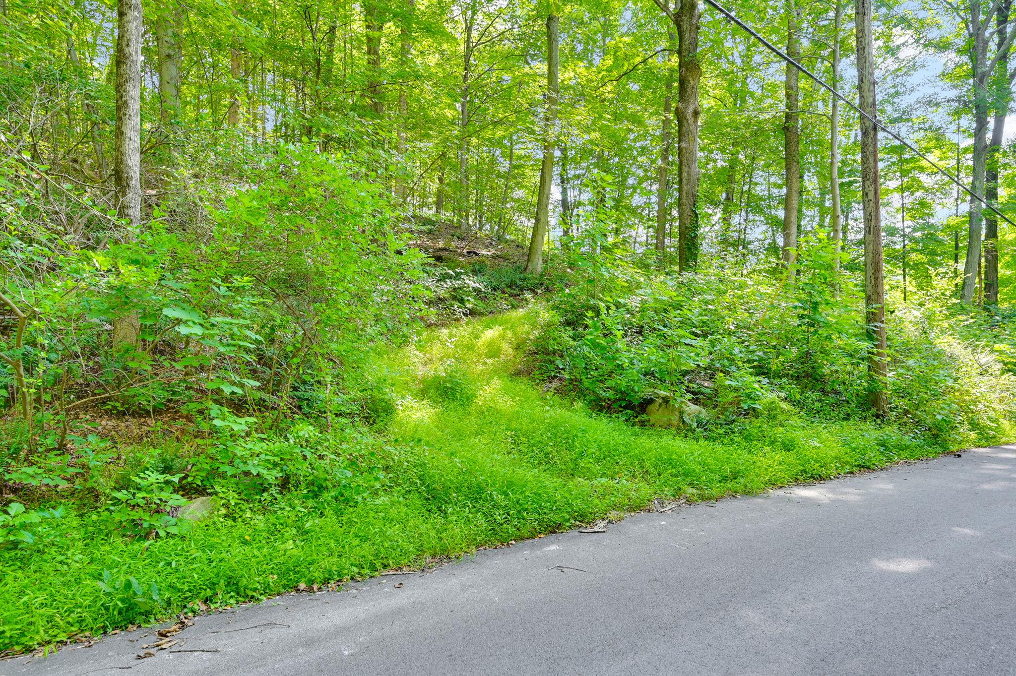34 Gordon Road Carmel, NY 00000 - Photo 5 of 17 a view of a garden with plants