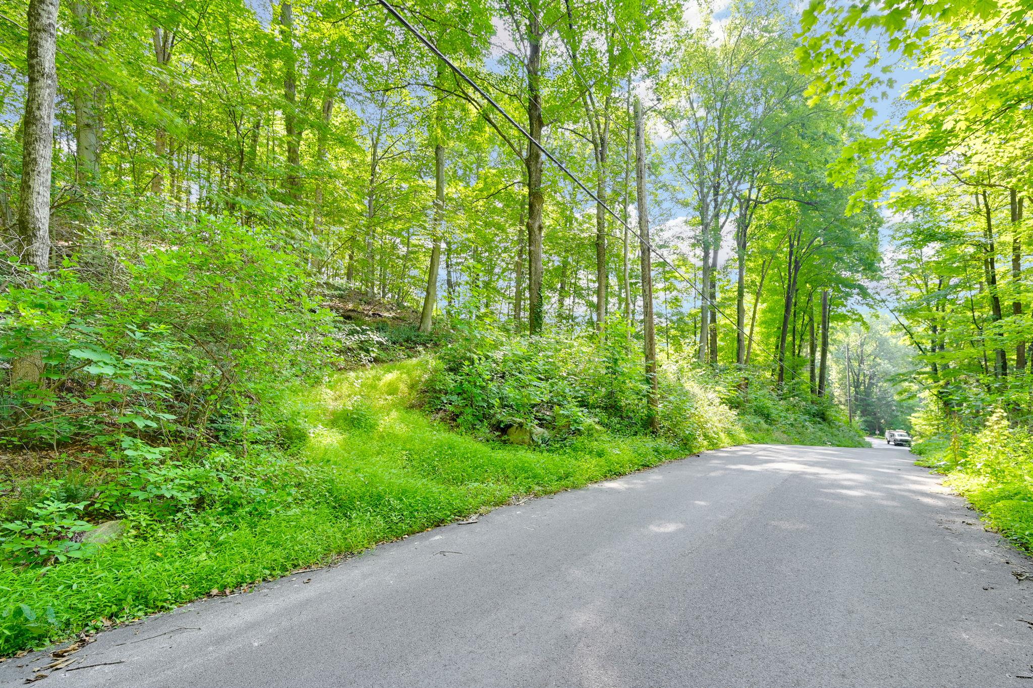34 Gordon Road Carmel, NY 00000 - Photo 6 of 17 a view of a yard with plants and large trees