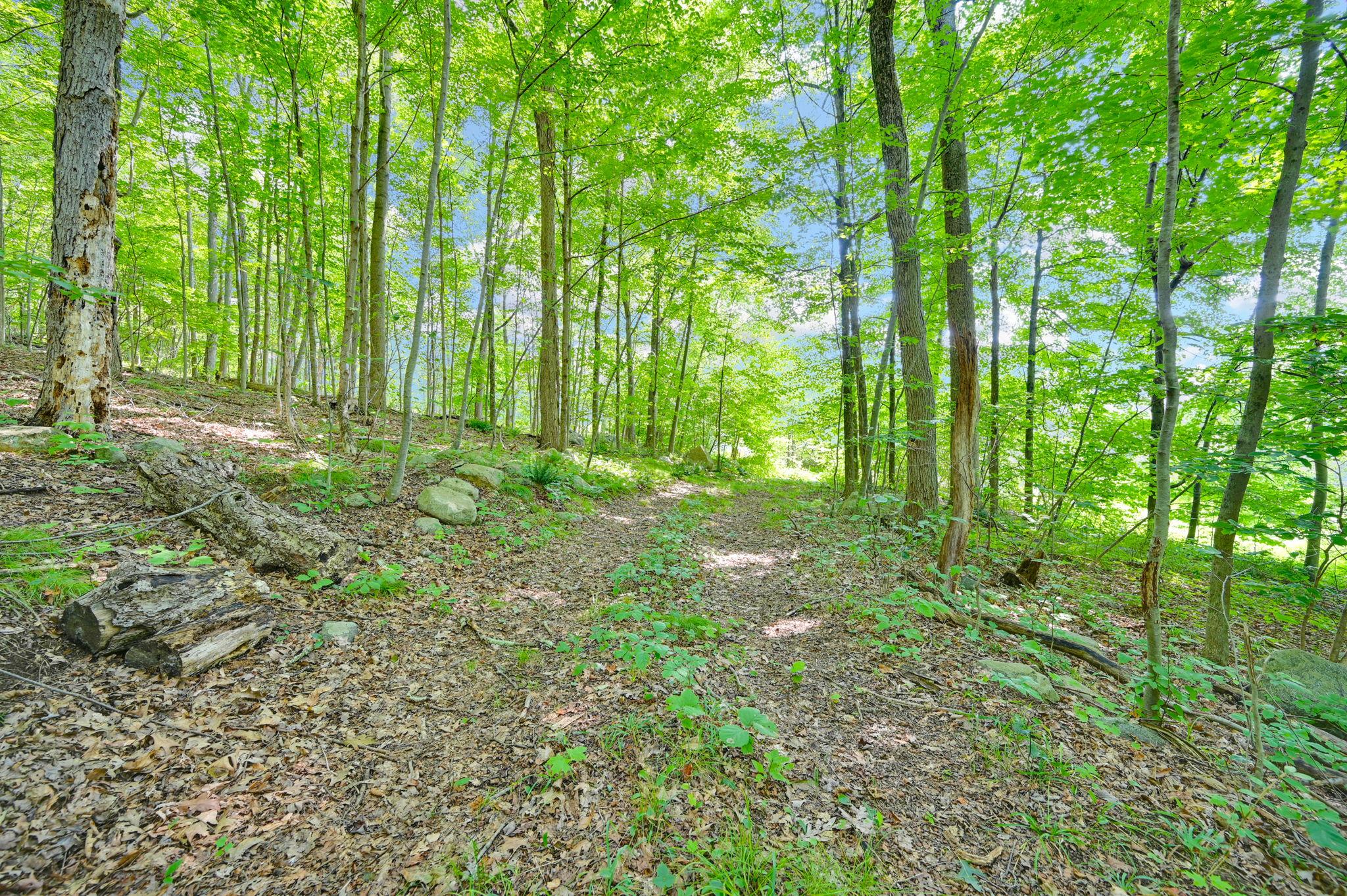 34 Gordon Road Carmel, NY 00000 - Photo 8 of 17