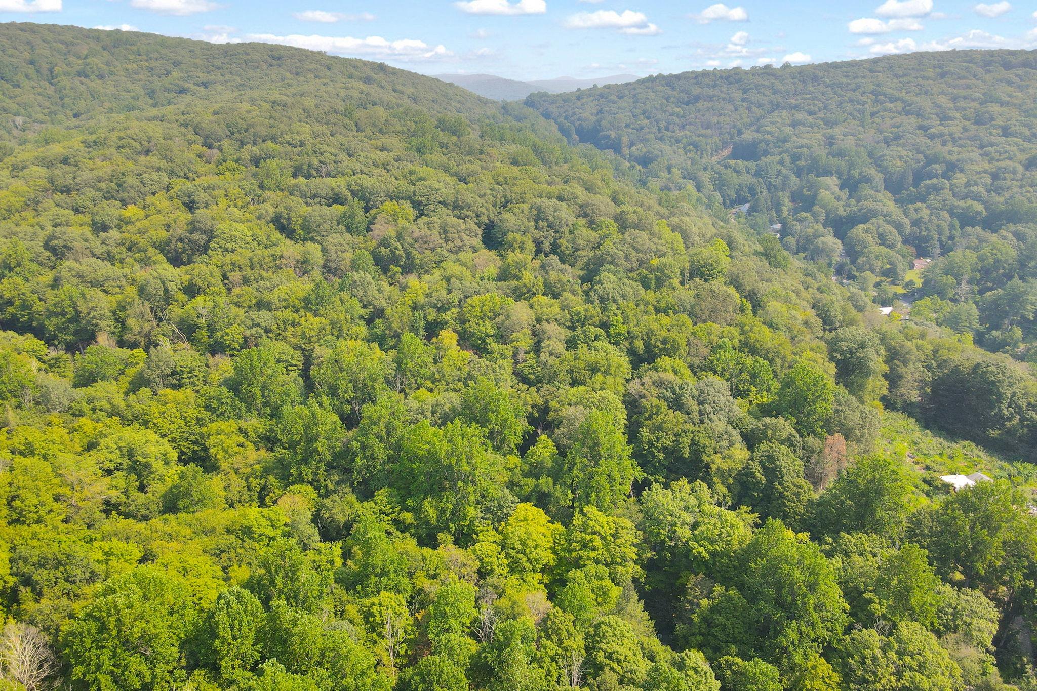 34 Gordon Road Carmel, NY 00000 - Photo 10 of 17