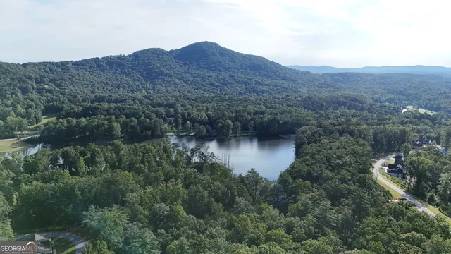 a view of a garden from a lake