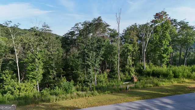 a view of a park with large trees